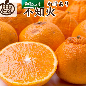 [先行予約]家庭用 不知火1kg+250g(傷み補償分)[デコポンと同品種・人気の春みかん][わけあり・訳あり]