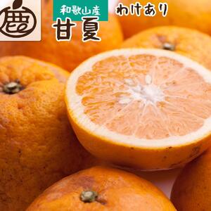 [先行予約]家庭用 甘夏柑5kg+250g(傷み補償分)[初夏のみかん・旬の果物][有田産][光センサー食べ頃出荷][わけあり・訳あり][IKE75]