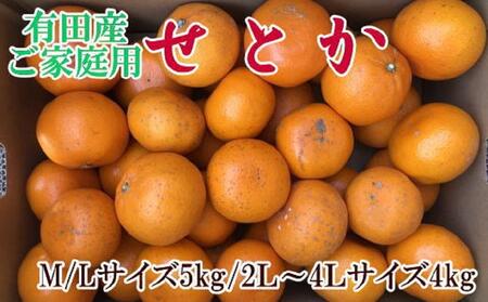 (訳あり・ご家庭用)一度は食べていただきたい「有田産のせとか」約4kg〜5kg★2026年2月中旬頃より順次発送[TM210]