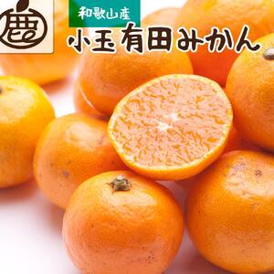 厳選 小玉な有田みかん2.5kg+75g(傷み補償分)[11月より発送]