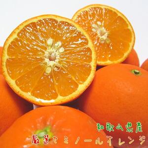 厳選 セミノール オレンジ 2kg[農家直送][先行予約・2025年4月上旬〜4月下旬発送][和歌山県産]