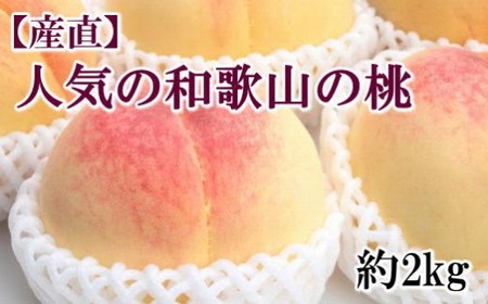 [産直・人気の特産品]和歌山の桃 約2kg・秀選品★2025年6月下旬〜8月上旬頃順次発送★[TM167]桃桃桃桃桃