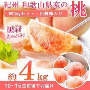 秀品紀州和歌山産の桃約4kg化粧箱入【2025年6月下旬より順次発送】【UT106】桃桃桃桃桃