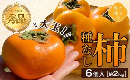柿(種無し) 6個入 (約2kg) 秀品大玉[2025年9月下旬頃より発送][KT1]柿柿柿柿柿