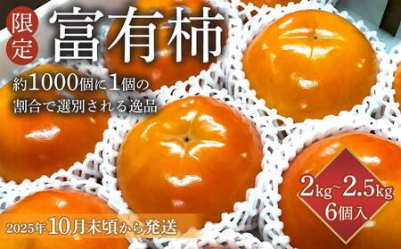 [限定] 富有柿 2kg〜2.5kg 6個入 至高の逸品 約1000個に1個![先行予約][2025年10月末頃から発送][KG5]柿柿柿柿柿
