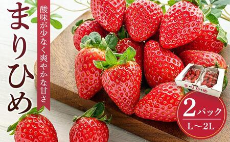 ܂Ђ߃C`S L`QL 12`15×2pbNm2026N1{甭nms̔nmKG7n