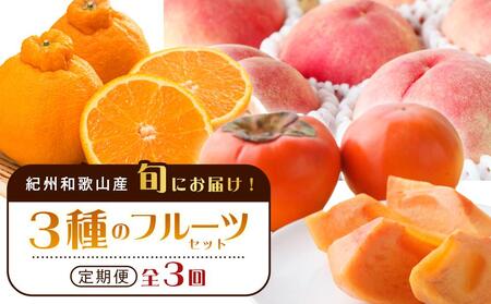 紀州和歌山産 旬にお届け!フルーツセット(不知火・桃・富有柿)[UT59]