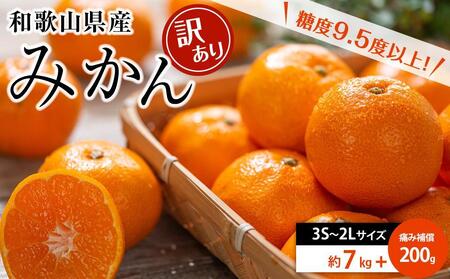 和歌山県産 糖度9.5度 以上 訳あり みかん 7kg 傷み補償+200g 3S 〜 2Lサイズ混合[MG58]みかん 柑橘 果物 ミカン 甘いみかん おすすめみかん 和歌山県 高野町