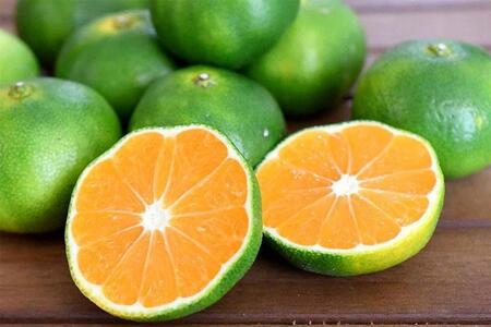 ys\za̎RRǒY RǑ݂ 10kg 󂠂 LY ƒp TCYySL4z