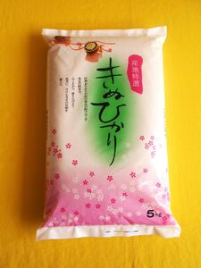[先行受付]和歌山県産キヌヒカリ 5kg(2025年産)[SL27]