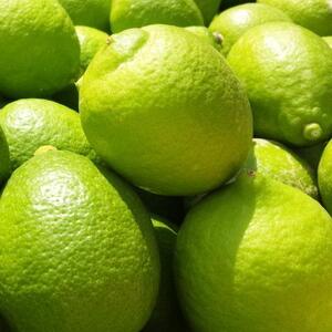 IBa̎R Lciƒpj3kg ms\nmYnm_nmm[bNXEm[h܁nmMS70n