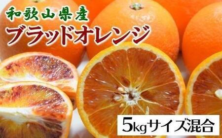 m󏭁EknYZubhIWu^bRv5kg2026N4菇\mTM149n