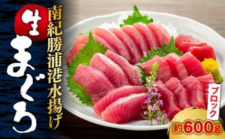 生まぐろの本場紀州勝浦から直送!生メバチマグロ 600g