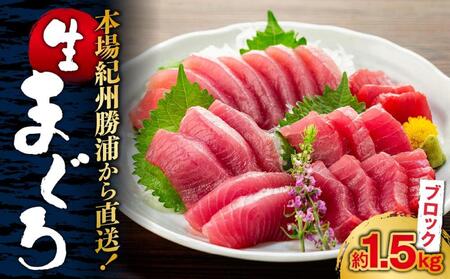 ܂̖{IBY璼Io`}O 1.5kg