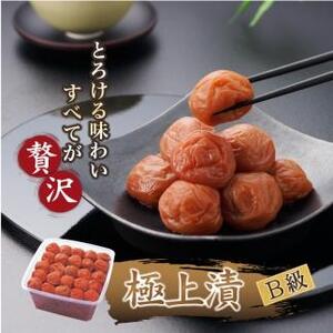 紀州南高梅 徳用 紀州極上漬 1.5kg×1箱 [Kn6]