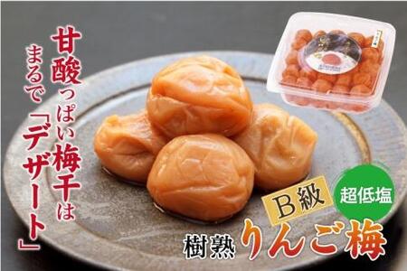 紀州南高梅 徳用 りんご梅 1.5kg×1箱 [Kn10]