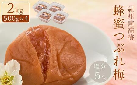 紀州南高梅 蜂蜜つぶれ 塩分5% 2kg(500g×4)[Kn23]梅干し うめぼし ウメ