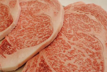 Y јa F싍 [X Xe[L 200×4 ӂ邳Ɣ[   Y ē o[xL[ BBQ Lv  O a̎R   Ε 