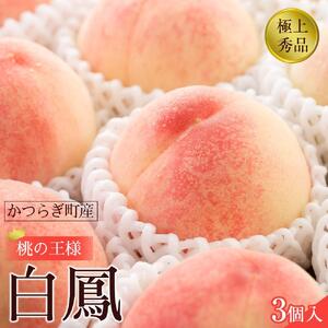 先行販売![モモ] 白鳳 桃の王様!食べきりやすい3個入り[2025年6月下旬頃より順次発送][秀品]こだわり農家厳選 [KG17]桃桃桃桃桃