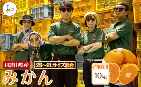 ƒp X{_̎I ݂ 10kg a̎RY 2S~2LTCY mkCEEzsnmRN31nm2025N11{珇n