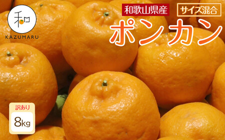 󂠂 X{_̎I |J 8kg a̎RY TCY mkCEEzsnmRN15nm2026N1{珇n