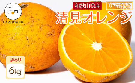 訳あり 森本農園の手選別 清見オレンジ 6kg 和歌山県産 サイズ混合 [北海道・沖縄・離島配送不可][RN24][2026年2月上旬から5月中旬頃順次発送予定]