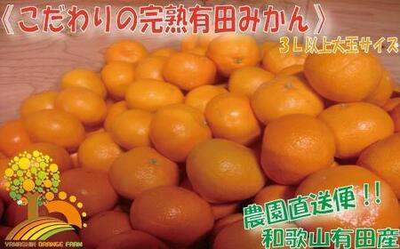 ＼農家直送/こだわりの大玉有田みかん 3Lサイズ以上約7.5kg[2024年12月より順次発送]