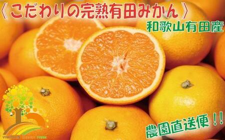 ＼農家直送/こだわりの完熟有田みかん Lサイズ約10kg [2024年11月中旬より順次発送]