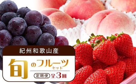 [2・7・9月 全3回]紀州和歌山産旬のフルーツセット(いちご・桃・ピオーネ)[UT95]