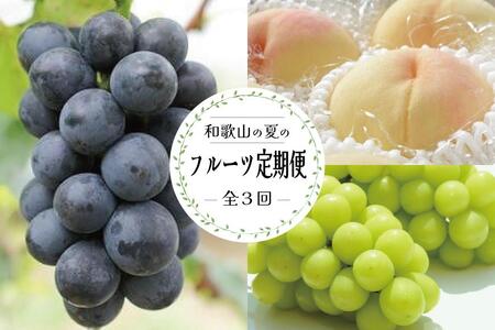 定期便全3回 [7月・8月・9月発送] 和歌山のフルーツをお届け(桃・たねなしピオーネ・シャインマスカット)[TM180]