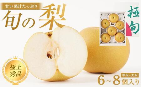 先行予約 旬の梨 極上 秀品(中玉〜大玉)6〜8個入り [2026年8月下旬頃〜9月下旬頃発送][KG23]