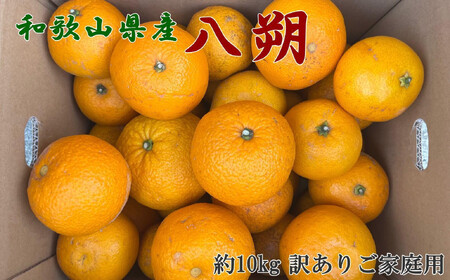 [手選果 訳あり]和歌山 由良町産 八朔 約10kg サイズ混合 ご家庭用 [TM205]