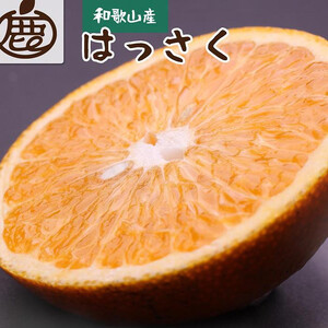 [先行予約]厳選 はっさく2.5kg+250g(傷み補償分)[八朔みかん][光センサー選別][IKE25]