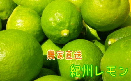 国産 農家直送 紀州レモン 約3kg サイズ混合 [MS122]