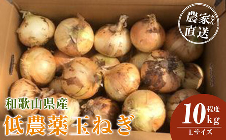 [2026年発送分・先行予約]農家さん直送 低農薬玉ねぎ Lサイズ 10kg程度[4月中旬〜7月中旬頃発送予定][KF16]