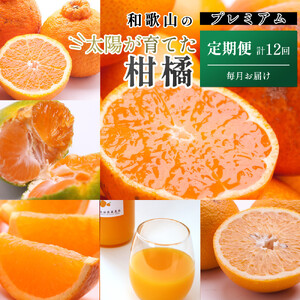 ���I ���k�����S�i�����j�S12��mIKE285�n