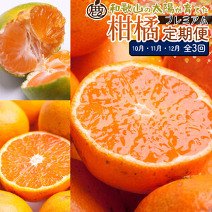 厳選 柑橘定期便S(10〜12月)全3回 