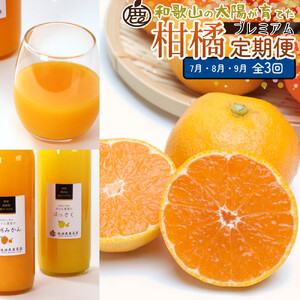 厳選 柑橘定期便M（7～9月）全3回 ［IKE297］