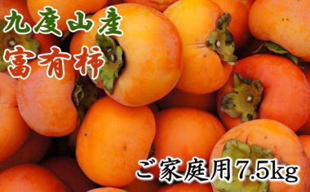 《柿の名産地》九度山の富有柿 約7.5kg ご家庭用