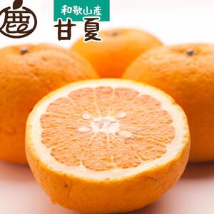 [先行予約]厳選 甘夏柑5kg+250g(傷み補償分)[初夏のみかん・旬の果物][有田産][光センサー食べ頃出荷][IKE72]