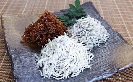 炷E߂Eώ3FZbguv kuroshio