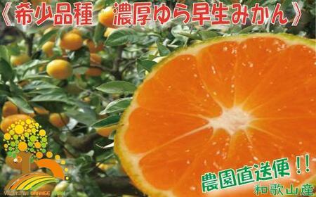 濃厚な味わい ゆら早生みかん約5kg 希少品種[有機質肥料100%][2024年10月より順次発送]