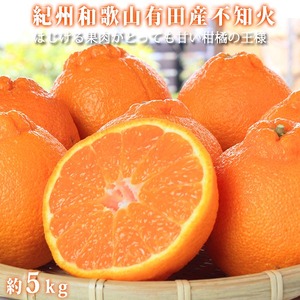IBLcYsm(ʂ) Tkgm2026N2{ȍ~nms\nmUT40n