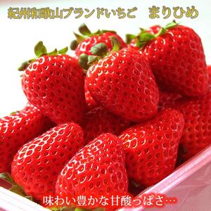 紀州和歌山ブランドいちご「まりひめ」約250g×4P [2026年3月上旬頃〜2026年3月下旬頃に順次発送][UT39]