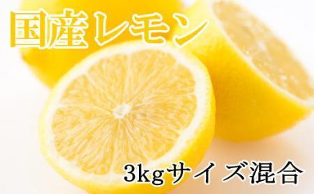 yYza̎RY3kgiTCYj2026N3{菇yTM150z