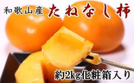 [秋の味覚]和歌山産たねなし柿2L〜4Lサイズ 約2kg(化粧箱入り)★2025年9月中旬頃より順次発送[TM39]柿柿柿柿柿