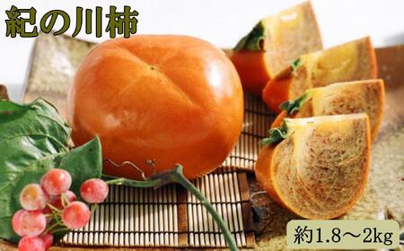 [希少]紀の川柿約1.8〜2kg(種無し)秀選品★2025年10月中旬頃より順次発送[TM191]柿柿柿柿柿