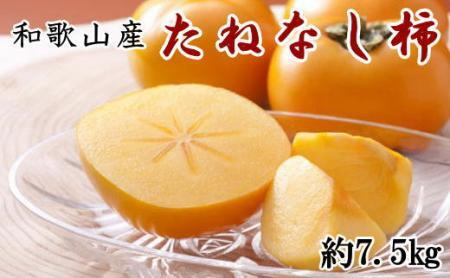 和歌山産たねなし柿(サイズおまかせ)約7.5kg・秀品★2025年10月頃より順次発送[TM10]柿柿柿柿柿