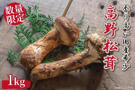 s\ Y 1kg ʌ 荂󏭁ya̎R쒬Yzy2025N9{`11{z