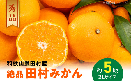 AB7114n_[和歌山特産品][プレミアムブランド]絶品! 田村みかん 秀品 2Lサイズ 約5kg